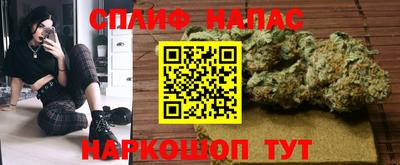 шишки Заволжье