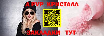 шишки Заволжье