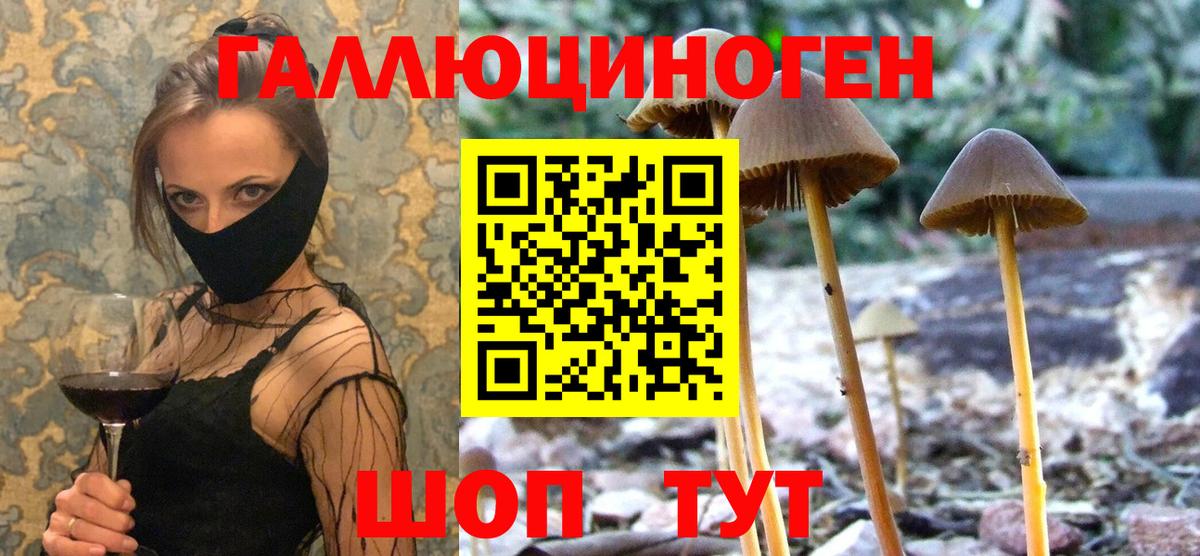 продажа наркотиков  Вход с VPN  Жуковский  Галлюциногенные грибы GOLDEN TEACHER  Галлюциногенные грибы Cubensis 